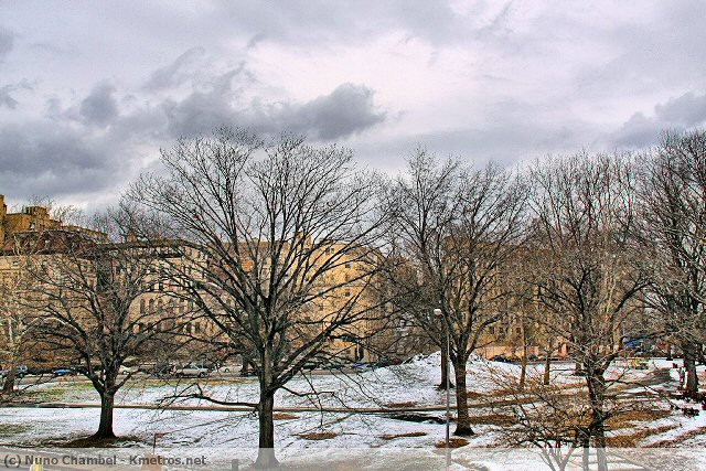 Bronx, ainda com neve