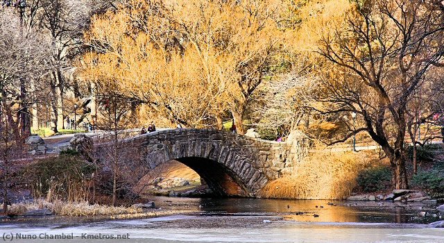 Ponte no Central Park, com o lago quase completamente gelado