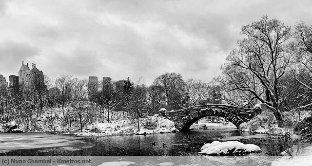 Central Park