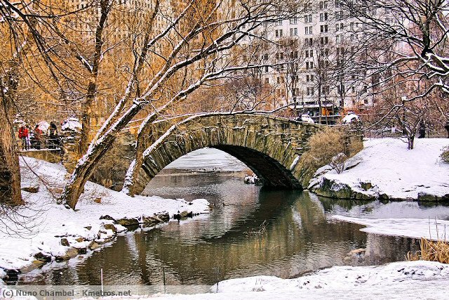 Central Park com neve