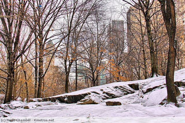 Central Park com neve