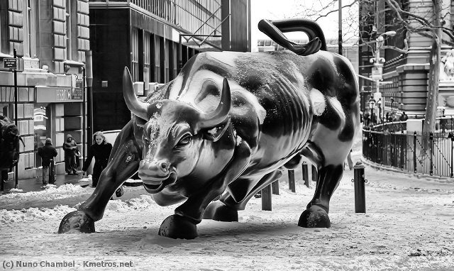 Bowling Green - Charging Bull