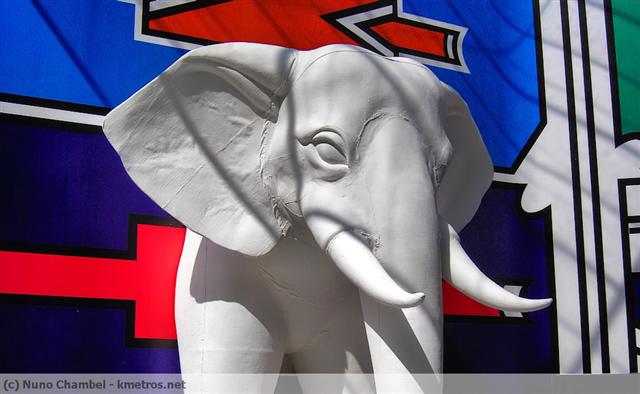 Verdadeiro Elefante Branco