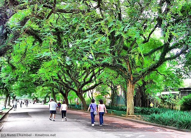 Parque Ibirapuera