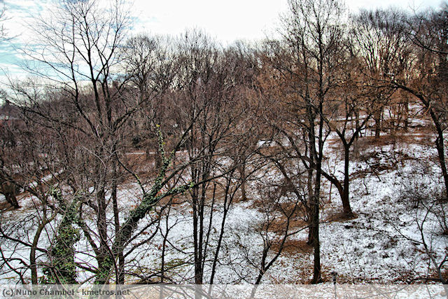 Ainda há neve por aqui